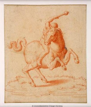 Nackter Reiter auf steigendem Pferd