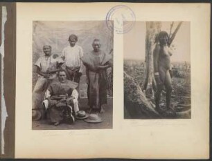 Indios Baures [y] Indio Chamacoco