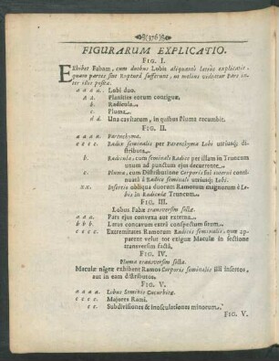 Figurarum Explicatio.