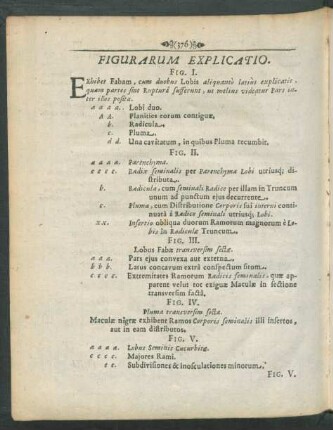 Figurarum Explicatio.