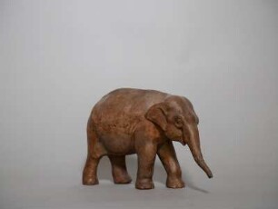 Elefant