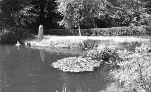 Hochkirch-Lehn. Mühlteich