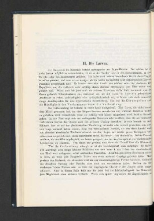 II. Die Larven.