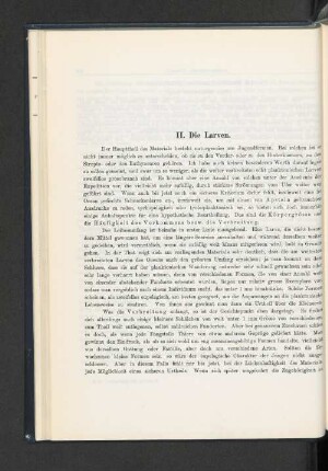 II. Die Larven.