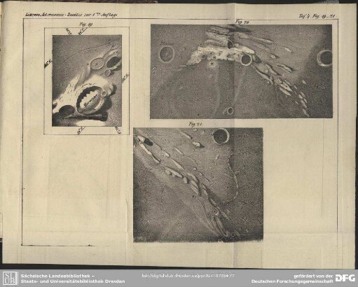 Taf. 4. Fig. 19-21