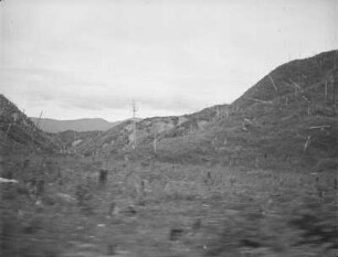 Entwaldetes Tal an der Ostküste : Landschaftsausschnitt