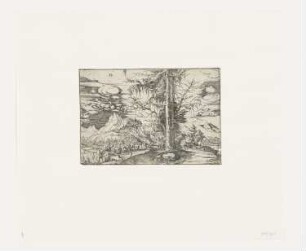 Landschaft mit der Doppelfichte