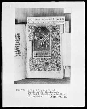 Lateinisch-französisches Stundenbuch — Heiliger Andreas, Folio 209recto