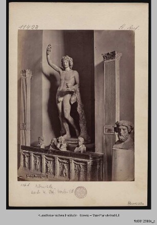 Bacchus Farnese