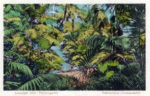 Leipziger städt. Palmengarten : Palmenhaus (Innenansicht)