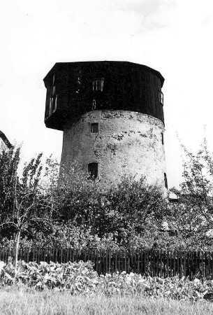 Nerchau. Turmholländer an der Würschnitzer Straße