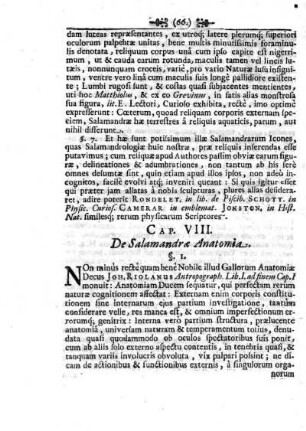 Caput VIII. De Salamandrae Anatomia