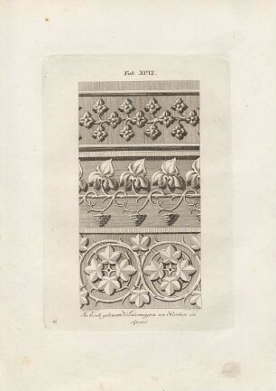 Tab. XCVI.