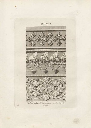 Tab. XCVI.