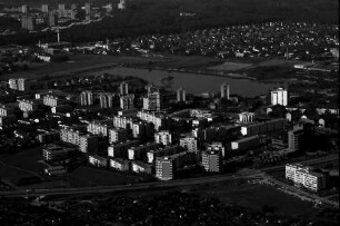 Freiburg: Berliner Allee mit Bischofslinde