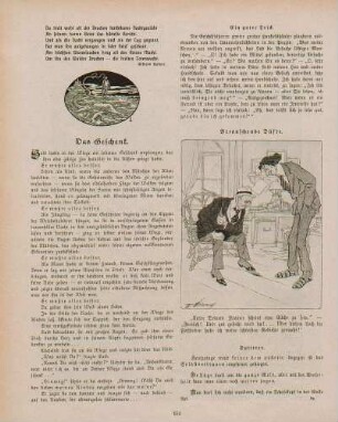 "Die Walddrachen" "Berauschende Düfte"