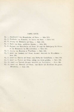 Tafel. XXVII. Fig. 1. Bauchband (?) von Massisihulan ... Fig. 2. Trinkbecher von Rumatita, ... Fig. 3. Armring von Murinatin ... Fig. 4. Tasche von Seran, ...