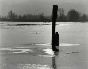 Winterzeit am Bodensee