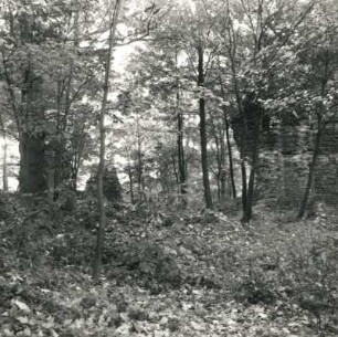 Oschatz-Altoschatz. Schloss Osterland (Jagdschloss Kaiser Friedrichs II.). 1211/1230. Teilansicht der Ruine