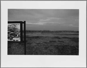 Buchenwald