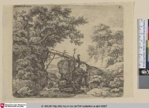 [Eine schiefe Holzbrücke; A small sloping bridge]