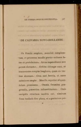De Calvaria Novo-Hollandi