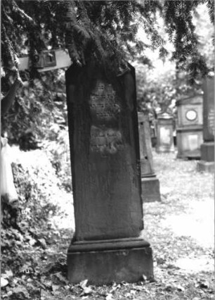 Grabstein 91 [Hahn S. Grab-Nr. 1519]