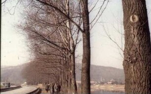Esslingen, Neckar