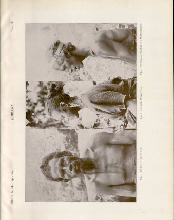 Tafel X. Sumbawa. Fig. 1. Ein Dou Donggo von Oo. Fig. 2. Eine junge Donggo-Frau. Fig. 3. Ein Donggo-Häuptling vom Mischlingstypus