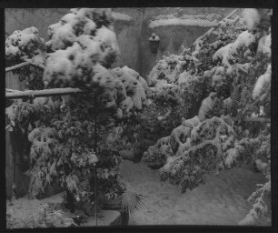 Johanniterhospiz (Hof im Schnee) [Jerusalem]