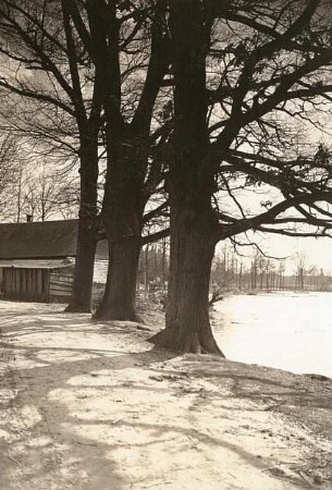 Oberlausitz. Commerau-Kauppa. Gehöft am Dammweg des Inselteiches