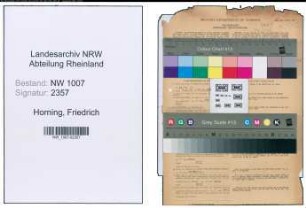 Entnazifizierung Friedrich Horning , geb. 02.12.1905 (Lehrer)
