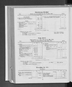 Voranschlag für 1916.