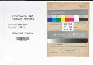 Entnazifizierung Theodor Hakenholt, geb. 30.11.1900 (Arbeiter)