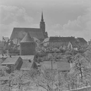 Bautzen im Frühling : Bautzen. Blick nach Süden gegen die Gerberbastei und die Altstadt mit Dom St. Petri