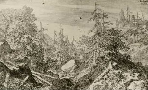 Baumlandschaft