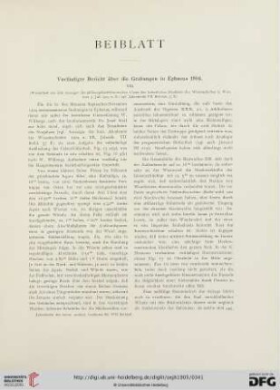 Band 8: Vorläufiger Bericht über die Grabungen in Ephesus 1904