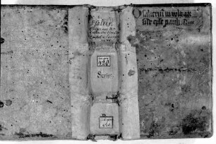 Psalter - BSB Cgm 420