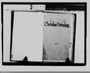 . Gerichtsordnungen der Grafschaft Nassau-Dillenburg: Band 2