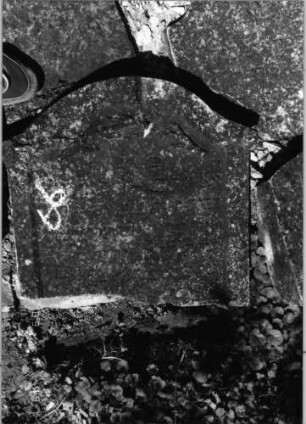 Grabstein 66 (Index: 99796396) Material: Sandstein Zustand: verwittert Maße HxBxT: 0x0x0 cm Beschreibung: Stele, Konvexbogenabschluß, Schriftfeld eingetieft Symbolik: geknickter Zweig: Grabstein 66