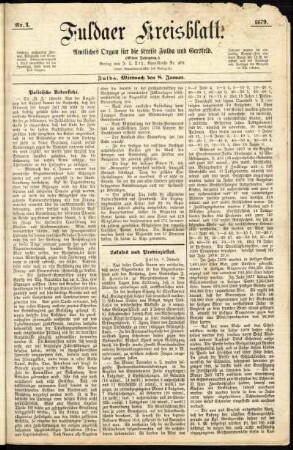Ausgabe vom Mittwoch, den 08. Januar 1879.