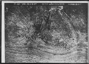 westl. Mezraa =657 [GDIp00567] n.l.