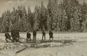 Steinbach/Erzgebirge, Tiefenbachteich, Eisschneiden