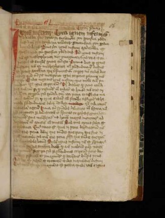 Reinerus de Pisis: Pantheologia.