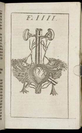 Figura IIII