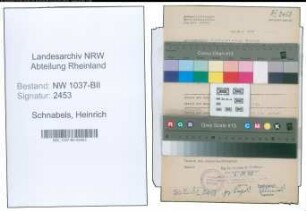 Entnazifizierung Heinrich Schnabels , geb. 31.12.1907 (Angestellter)