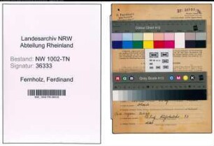 Entnazifizierung Ferdinand Fernholz , geb. 08.06.0000 (Spediteur)