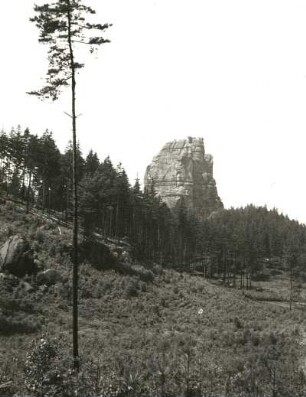 Sächsische Schweiz. Schrammsteine. Falkenstein aus dem Vorderwinkel (von SO). Kiefernschonung mit Überhälter