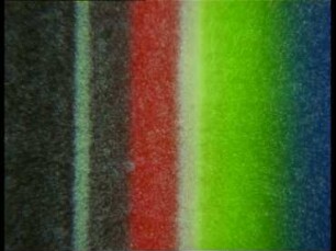 Photosynthese - Purpurbakterien: Photosynthese ohne Sauerstoff