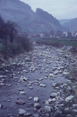 Wiesental? Blick über die Wiese